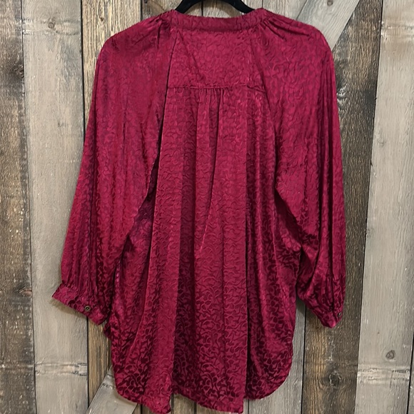 Anthropologie Susanna Burnout Velvet Button Down Blouse - Picture 10 of 12